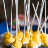 Meredith-Joshua-38-199×300