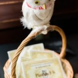 Meredith-Joshua-43-199×300