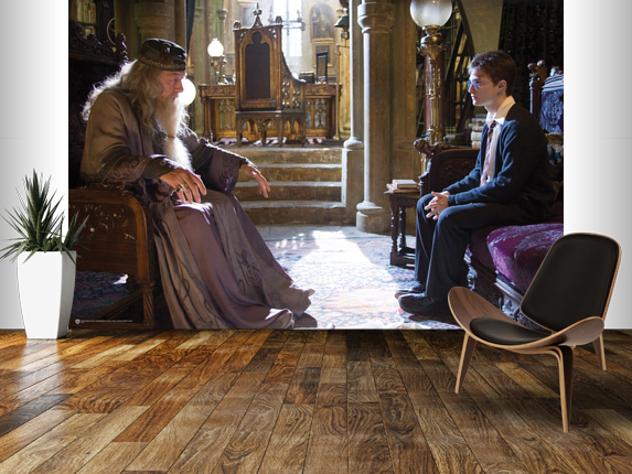 Harry Dumbledore mural