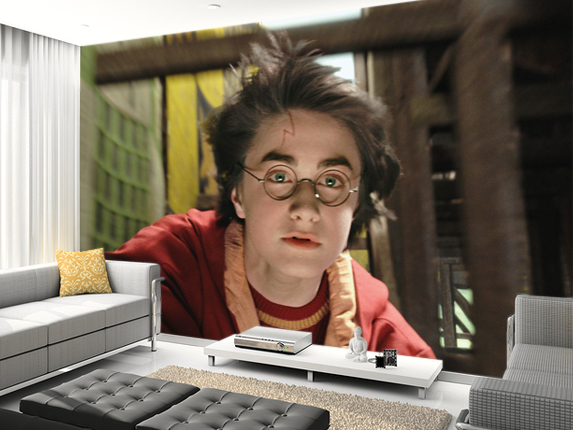 Harry Quidditch mural