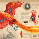 Phoenix illustration