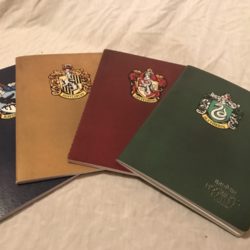 House Journals from the “Hogwarts Mystery” mobile game