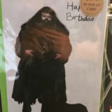 Wish someone a happy birthday Hagrid style with this cute card from Insight Editions!