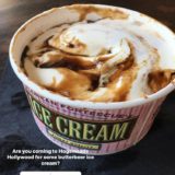 Butterbeer ice cream: Instagram followers weigh in!