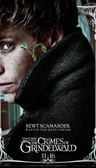 Newt Scamander is once again in trouble with the authorities, but is it beast related? Or something to do with a certain Dark wizard?