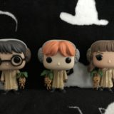 Harry, Ron and Hermione all ready for Herbology class