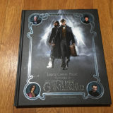 “Lights, Camera, Magic!”