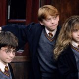 Harry, Ron, and Hermione leave Hogwarts.