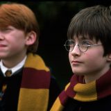 Harry and Ron listen to Hagrid.