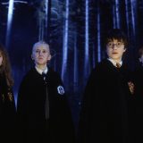 Hermione, Draco, Harry, and Ron serve detention in the Forbidden Forest.