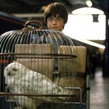 Harry finds platform nine and three-quarters.