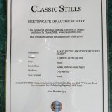 The certificate is in a plastic sleeve to keep it safe.