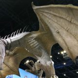 Gringotts opening at Warner Bros Studio Tour – Hanging Gringotts dragon