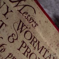 When the notebook is opened, a message from the Marauder’s themselves greets the user.