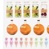 ConQuest HP Potions and Spells Sticker Sheet close-up, featuring colorful vials