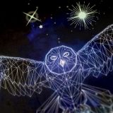 ConQuest Journals Celestial Planner owl close-up front cover