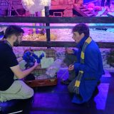 CCXP 2019 impressions – Newt cosplay