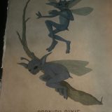 This illustration features an adult male and female Cornish pixie.