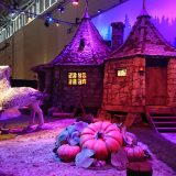 Hagrid’s hut at CCXP 2019