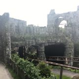 Hagrid’s Magical Creatures Motorbike Adventure 4