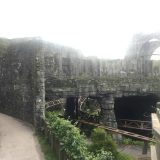 Hagrid’s Magical Creatures Motorbike Adventure 9