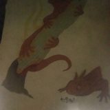 Rather than two different individuals of the same species, this illustration features two different types of salamanders.