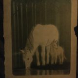 This illustration features an adult female and infant male unicorn.