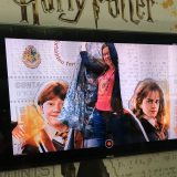 Wow! Stuff invisibility cloak – view of staff member trying on the product as seen through app