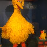 Big Bird display at the Worlds of Puppetry Museum