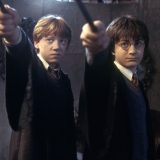 Harry and Ron Confront Gilderoy Lockhart