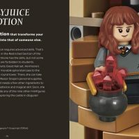 The guide will combine facts about the “Potter” series with information and details about the corresponding LEGO set or minifigure.