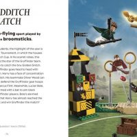 The “Quidditch Match” set not only looks dynamic but also features a movable Oliver Wood figure.