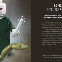 Information about the characters are also included, including their Hogwarts House and any special skills.