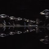 The Chamber of Secrets