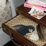 Newt Scamander Suitcase Shelf