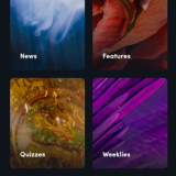 The “Discover” section