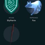 The WIzarding Passport