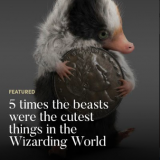 Features for “Fantastic Beasts”