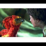 Classic Stills “Fawkes’ Tears”