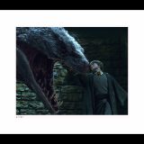 Classic Stills “Harry Defeats the Basilisk”