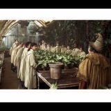 Classic Stills “Re-Potting Mandrakes”