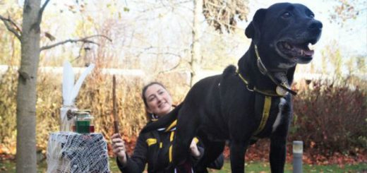 Harry Potter pup posing with his special friend and Volunteer Coordinator, Megan Reilly.