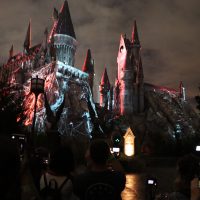 “Why spiders? Why couldn’t it be ‘follow the butterflies’?” Acromantulas cover the castle.