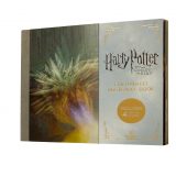 There is also a set for fans of the “Goblet of Fire” film.