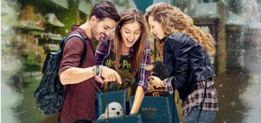 Christmas in the Wizarding World Featured Image