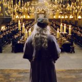 DUMBLEDORE ADDRESSES THE GREAT HALL