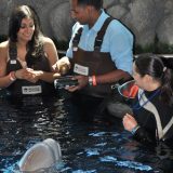 Dennis and Tesa marriage proposal