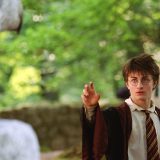 HARRY APPROACHES BUCKBEAK