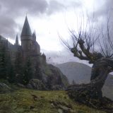 THE WHOMPING WILLOW