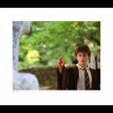 Classic Stills “Harry Approaches Buckbeak”